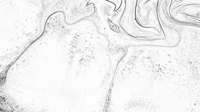 Black and White Abstract Cellular Texture Background