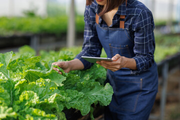 Woman checking fresh organic vegetables in smart farm greenhouse © David