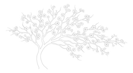 Fototapeta premium Delicate Cherry Blossom Tree Outline, Spring Blooming Branch, Elegant Floral Illustration