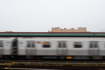 blurred motion subway train moving past elevated station in brooklyn, birds sit above the train © Oliver Perić