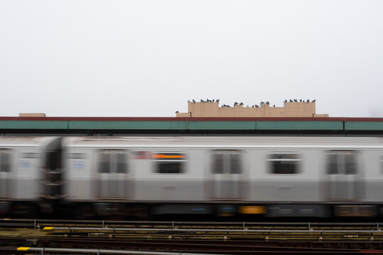blurred motion subway train moving past elevated station in brooklyn, birds sit above the train