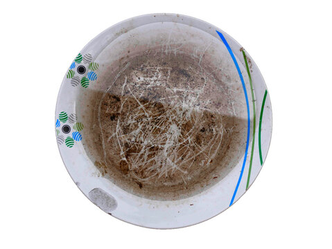 Dirty dishes