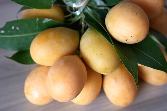 Close-up shot features a vibrant cluster of ripe Marian plums (also known as gandaria or plum mango).