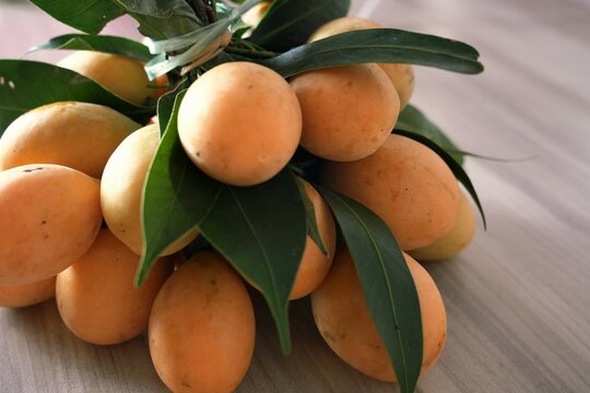 Close-up shot features a vibrant cluster of ripe Marian plums (also known as gandaria or plum mango).