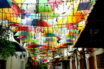 A vibrant display of multi-colored umbrellas is suspended in the air, creating a festive overhead canopy. © endang