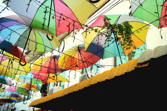 A vibrant display of multi-colored umbrellas is suspended in the air, creating a festive overhead canopy.