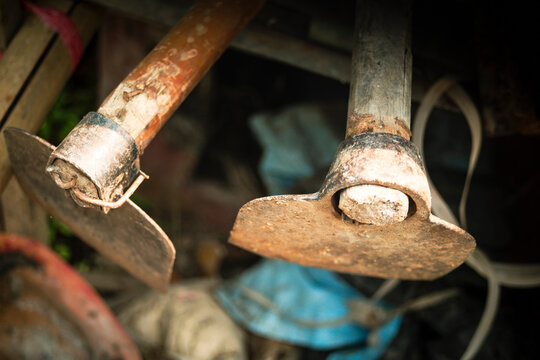 Old rusty shovels and other tools in the garden, stock photo