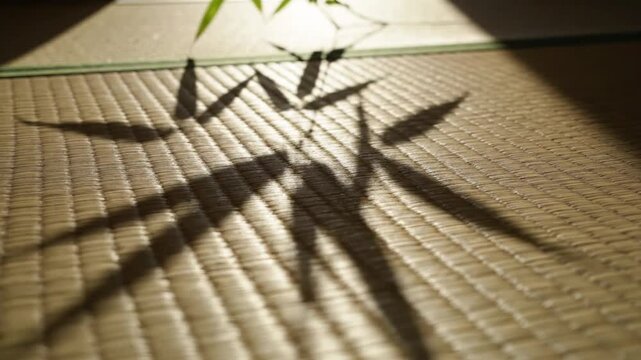 Bamboo Leaves Shadow on Tatami Mat, Sunlight Filtered Through Window, Zen Still Life