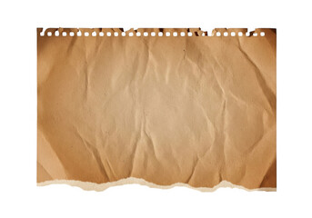 Fototapeta premium Close-up view of a human palm displaying fine textured skin lines and creases isolated on transparent background