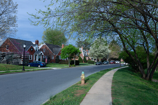 Peaceful residential street in Frederick, Maryland, with classic brick houses, flowering spring trees, a sidewalk, and a vintage yellow fire hydrant.