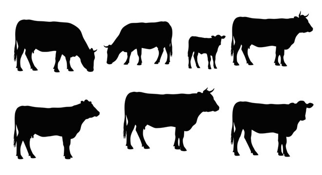 Black silhouettes of various farm animals including cows, a calf, and bulls, in a clean vector style