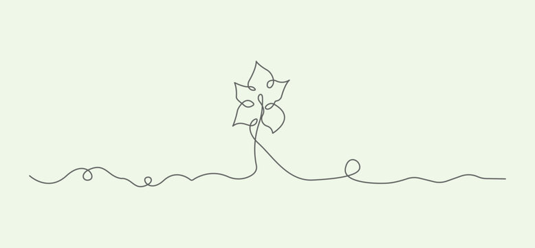 Continuous line drawing of a simple flower design