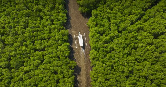 Traditional Balinese outrigger boat glides through a narrow muddy river channel winding amid dense, lush mangrove forest on the Gili Islands, tropical, serene aerial view. Petagan, East Lombok travel