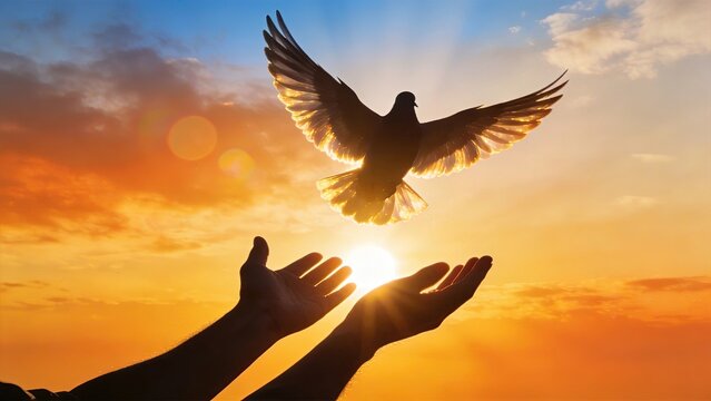 Silhouette of hands releasing a dove into the sunset skysymbolizing peacefreedomhopespiritualityholy spiritfaithprayerliberationsoulblessingnew beginningslight rays