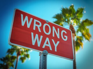 Fototapeta premium Red 'wrong way' sign with palm trees and blue sky road sign traffic sign palm tree direction forbidden