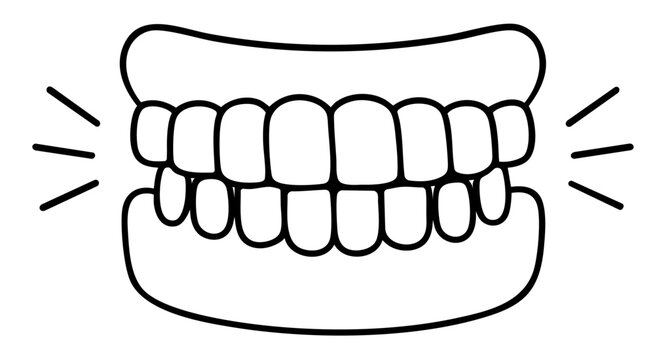 Proper bite alignment with even upper and lower teeth closure, healthy occlusion and balanced chewing function