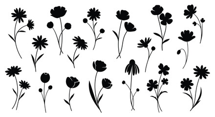 Adobe Illustrator Artwork © Raju