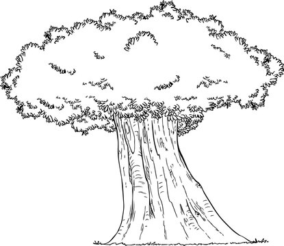 BIG TREE LINE ART