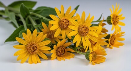 Obraz premium A Bunch of Bright Yellow Wildflowers with Green Stems and Leaves.