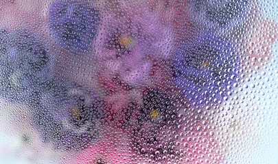 Close up of Water Drops Background with Multiple Colors © Anna Hoychuk