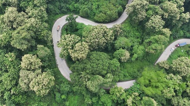 Aerial View of Winding Road Through Dense Forest in Alas Roban