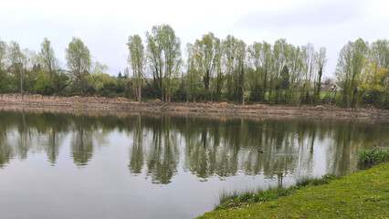 Fototapeta premium Peaceful Lakeside Scene with Perfect Reflections of Tall Trees, Green Shoreline, and Clear Calm Waters