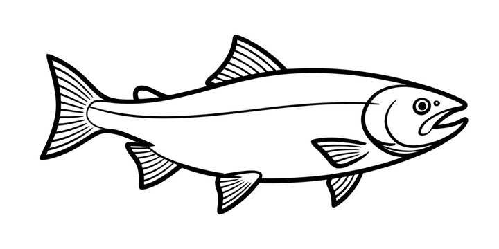A simple black and white line drawing of a salmon fish swimming isolated on a plain background. Vector, illustration