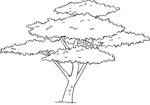 TREE LINE ART.jpg