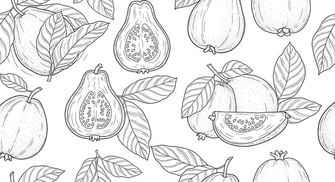Detailed monochrome illustration of guava fruit with leaves and slices on white background