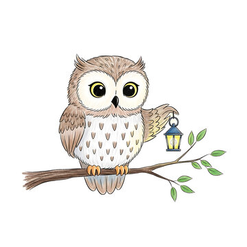 Cute cartoon owl holding a lantern perched on a tree branch, illustration.