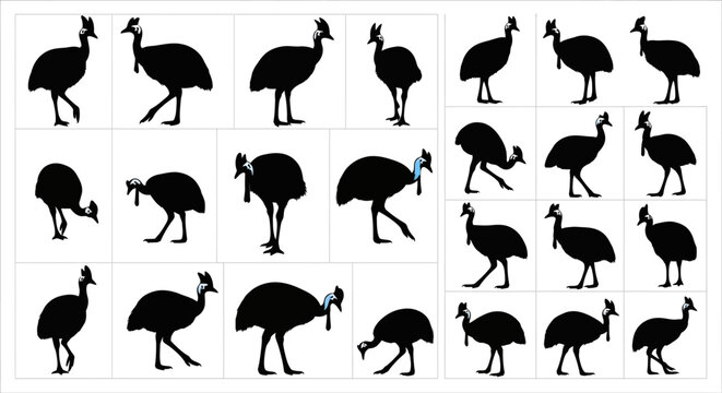 Collection of black ostrich silhouettes in various poses on white background for design use