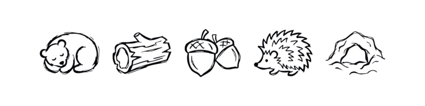 Hand Drawn Woodland and Hibernation Themed Sketches