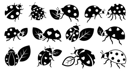 Set of ladybug silhouettes in various poses with leaves and heart shapes isolated on white background © your picture
