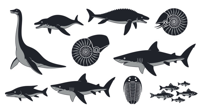 Prehistoric Marine Life Vector Illustration Set with Ancient Sea Creatures and Dinosaurs