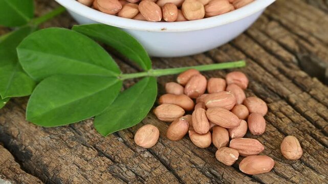 Raw peanuts in white bowl with green leaves on rustic wooden background