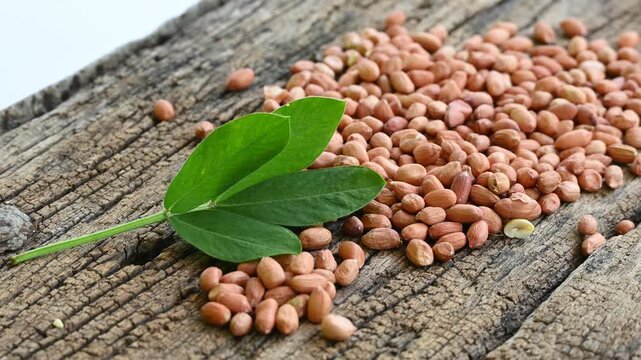 Raw peanuts in white bowl with green leaves on rustic wooden background