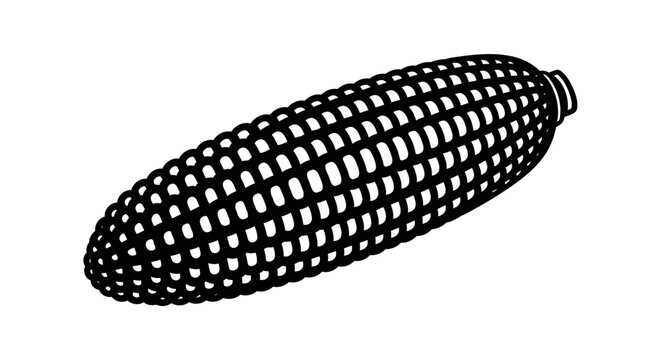 A black and white illustration of a single ear of corn