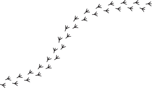 Bird footprint trail in diagonal path isolated on white background. Minimal animal track pattern for wildlife themes nature design branding and clean vector elements with simple graphic style.