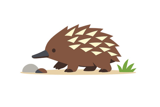 short beaked echidna, echidna silhouette, australian wildlife icon, monotreme vector, 