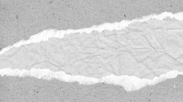 Abstract grayscale paper texture with torn edges revealing a blank space for text or creative designs.