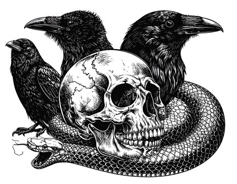 A black and white illustration of a skull surrounded by a snake and two crows