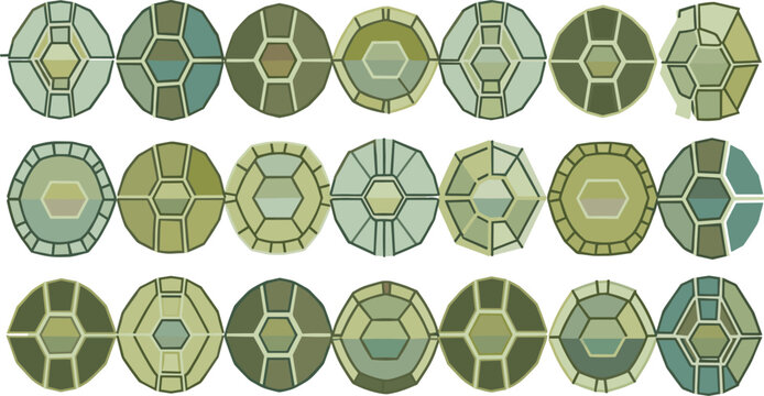 Turtle Shell Pattern Vector Illustration Set with Geometric Variations and Top View Designs for Reptile Texture, Nature Inspired Backgrounds, and Decorative Projects.