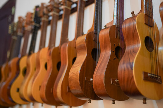 Latin string instruments hanging in music school workshop
