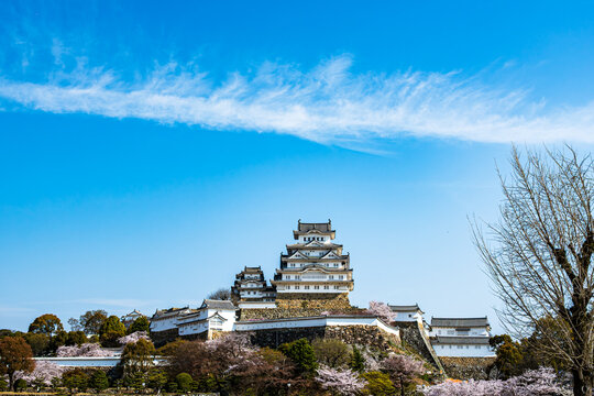 姫路城_江戸時代初期の建築がそのまま残る「現存12天守」の一つ、特に大天守と3つの小天守が渡櫓で結ばれた連立式天守の姿は壮観