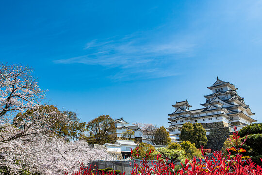 姫路城_江戸時代初期の建築がそのまま残る「現存12天守」の一つ、特に大天守と3つの小天守が渡櫓で結ばれた連立式天守の姿は壮観