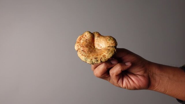 Person holding saffron milk cap mushroom against grey background in professional studio shot.