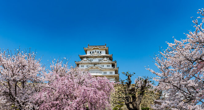 姫路城_江戸時代初期の建築がそのまま残る「現存12天守」の一つ、特に大天守と3つの小天守が渡櫓で結ばれた連立式天守の姿は壮観