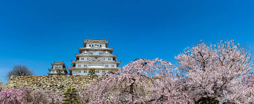 姫路城_江戸時代初期の建築がそのまま残る「現存12天守」の一つ、特に大天守と3つの小天守が渡櫓で結ばれた連立式天守の姿は壮観