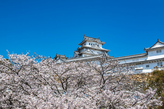 姫路城_江戸時代初期の建築がそのまま残る「現存12天守」の一つ、特に大天守と3つの小天守が渡櫓で結ばれた連立式天守の姿は壮観