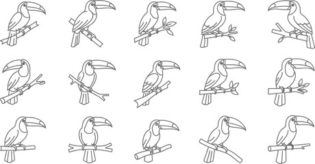 Naklejka premium Fifteen toucan bird perched on branches in a simple line style line simple